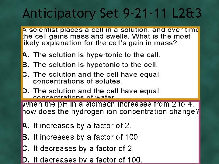 Anticipatory Set 9 -21 -11 L 2&3 