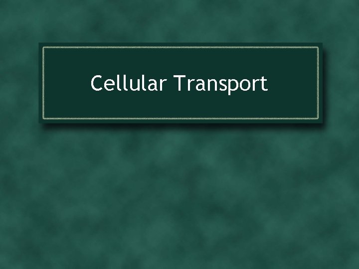 Cellular Transport 