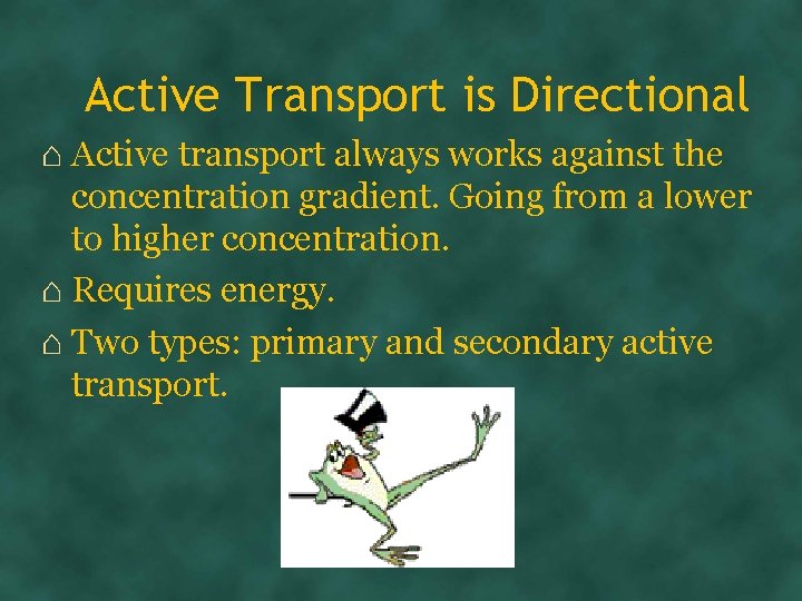 Active Transport is Directional ⌂ Active transport always works against the concentration gradient. Going