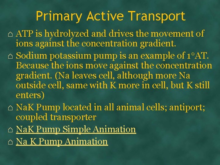 Primary Active Transport ⌂ ATP is hydrolyzed and drives the movement of ions against