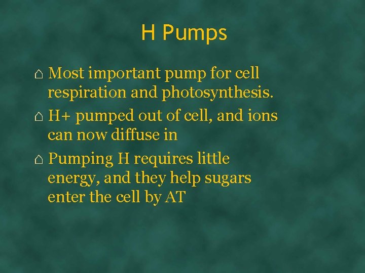 H Pumps ⌂ Most important pump for cell respiration and photosynthesis. ⌂ H+ pumped
