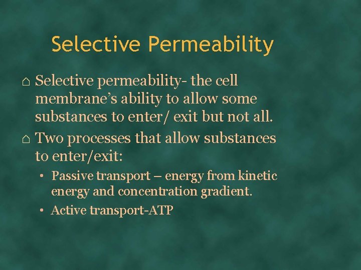 Selective Permeability ⌂ Selective permeability- the cell membrane’s ability to allow some substances to