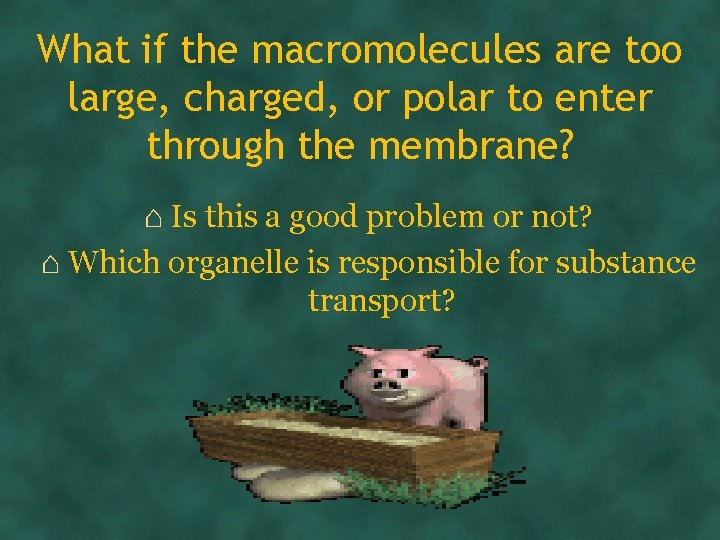 What if the macromolecules are too large, charged, or polar to enter through the