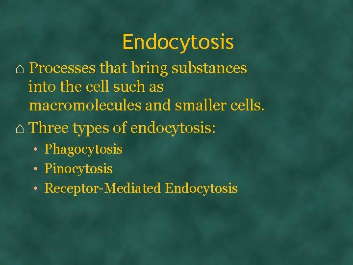 Endocytosis ⌂ Processes that bring substances into the cell such as macromolecules and smaller