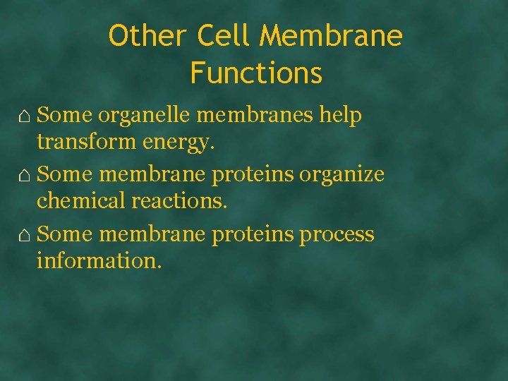 Other Cell Membrane Functions ⌂ Some organelle membranes help transform energy. ⌂ Some membrane