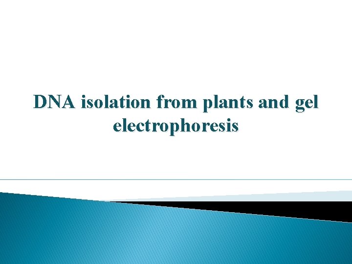 DNA isolation from plants and gel electrophoresis DNA isolation from plants and gel electrophoresis