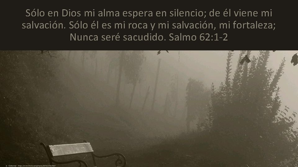 Sólo en Dios mi alma espera en silencio; de él viene mi salvación. Sólo