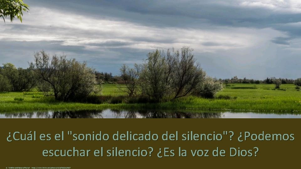 ¿Cuál es el "sonido delicado del silencio"? ¿Podemos escuchar el silencio? ¿Es la voz