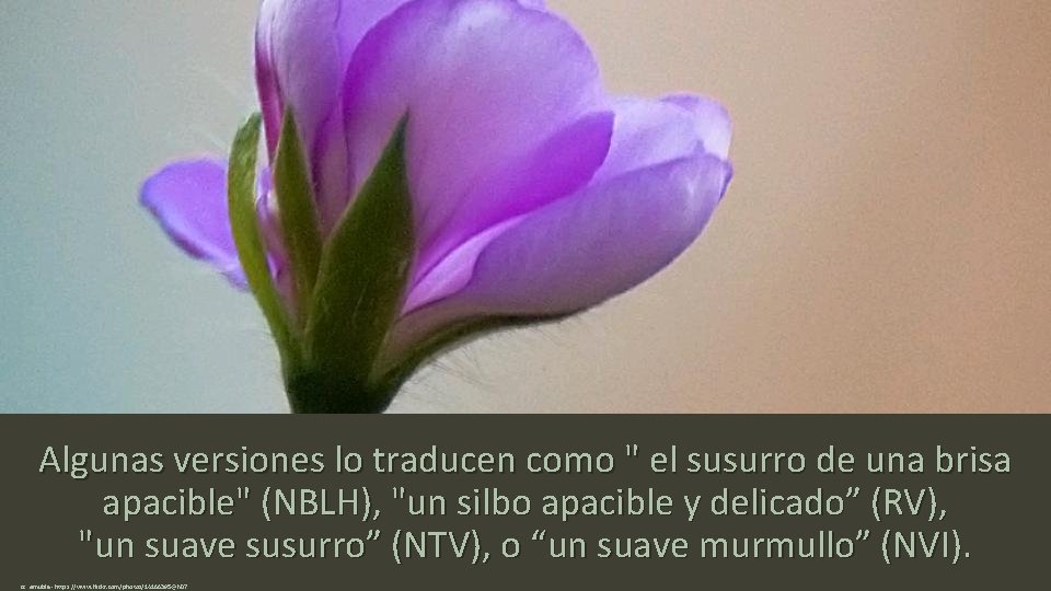 Algunas versiones lo traducen como " el susurro de una brisa apacible" (NBLH), "un