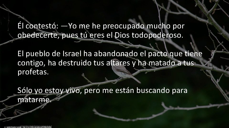 Él contestó: —Yo me he preocupado mucho por obedecerte, pues tú eres el Dios