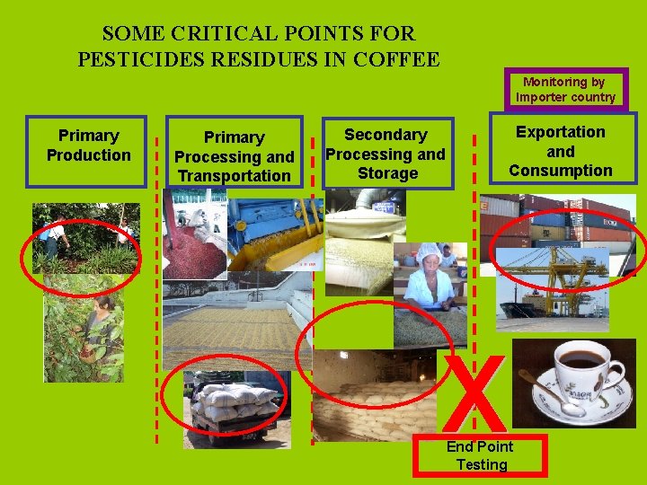 SOME CRITICAL POINTS FOR PESTICIDES RESIDUES IN COFFEE Monitoring by Importer country Primary Production