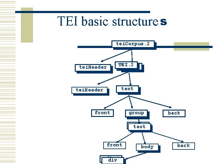 TEI basic structure s tei. Corpus. 2 tei. Header TEI. 2 tei. 2 text