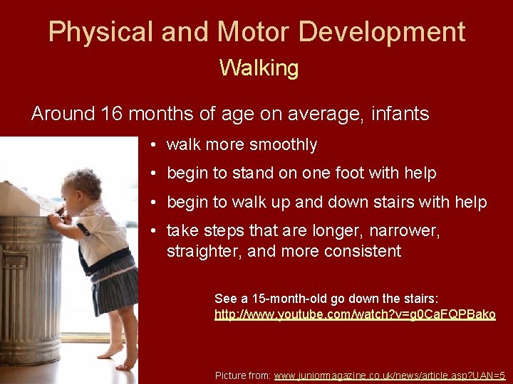 Physical and Motor Development Walking Around 16 months of age on average, infants • Physical and Motor Development Walking Around 16 months of age on average, infants •
