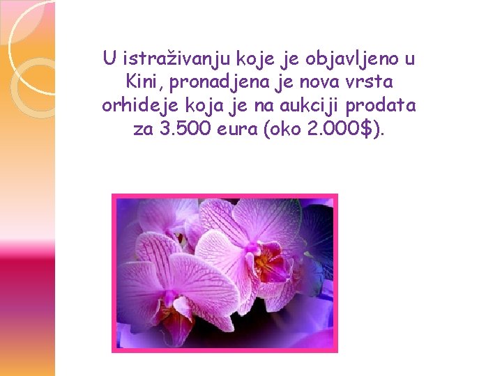 U istraživanju koje je objavljeno u Kini, pronadjena je nova vrsta orhideje koja je U istraživanju koje je objavljeno u Kini, pronadjena je nova vrsta orhideje koja je
