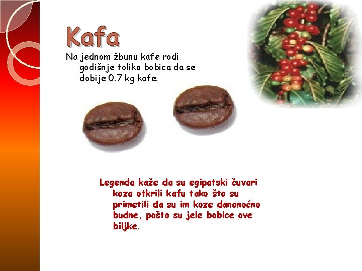 Kafa Na jednom žbunu kafe rodi godišnje toliko bobica da se dobije 0. 7 Kafa Na jednom žbunu kafe rodi godišnje toliko bobica da se dobije 0. 7