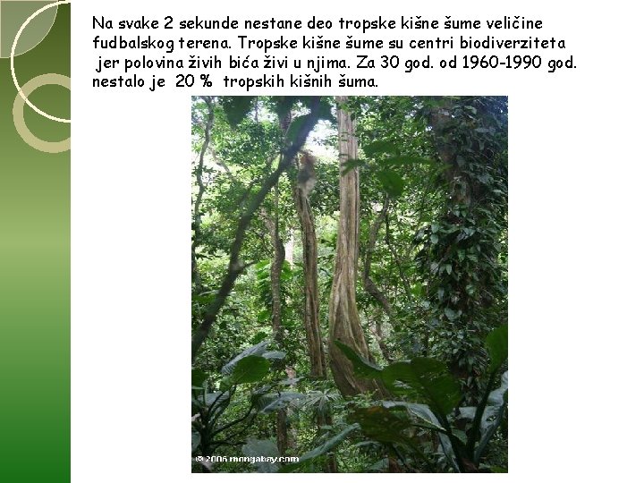 Na svake 2 sekunde nestane deo tropske kišne šume veličine fudbalskog terena. Tropske kišne Na svake 2 sekunde nestane deo tropske kišne šume veličine fudbalskog terena. Tropske kišne