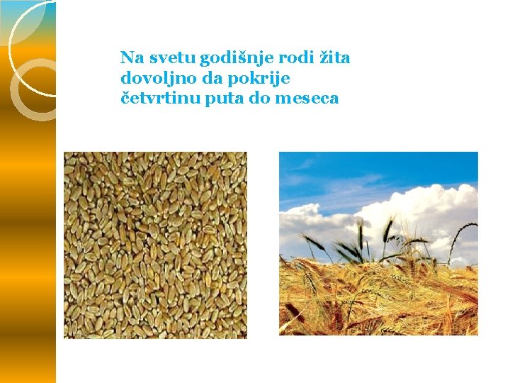 Na svetu godišnje rodi žita dovoljno da pokrije četvrtinu puta do meseca Na svetu godišnje rodi žita dovoljno da pokrije četvrtinu puta do meseca