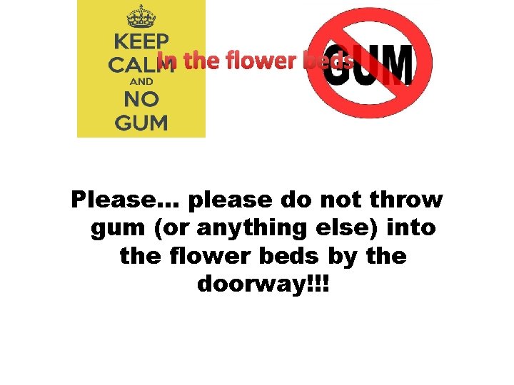 In the flower beds Please… please do not throw gum (or anything else) into