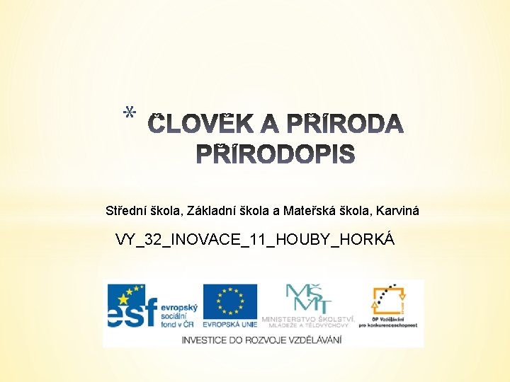 * Střední škola, Základní škola a Mateřská škola, Karviná VY_32_INOVACE_11_HOUBY_HORKÁ 