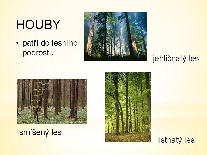 HOUBY • patří do lesního podrostu smíšený les jehličnatý les listnatý les 