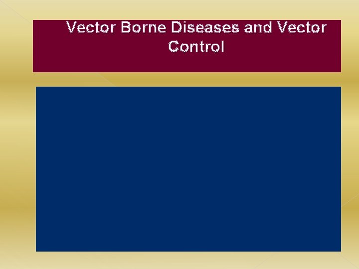 Vector Borne Diseases and Vector Control 