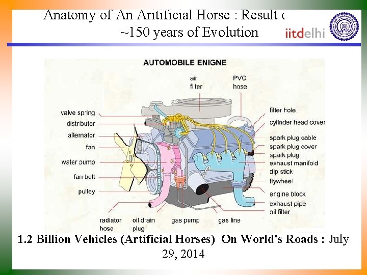 Anatomy of An Aritificial Horse : Result of Nearly ~150 years of Evolution 1.