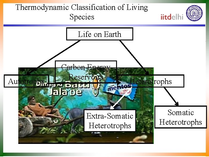 Thermodynamic Classification of Living Species Life on Earth Autotrophs Carbon Energy Reservoirs Heterotrophs Extra-Somatic