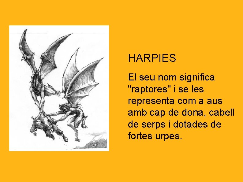 HARPIES El seu nom significa "raptores" i se les representa com a aus amb
