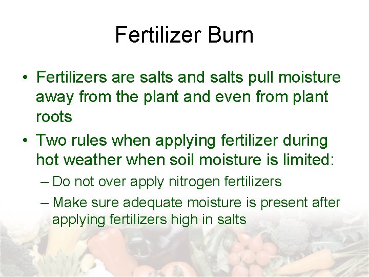 Fertilizer Burn • Fertilizers are salts and salts pull moisture away from the plant