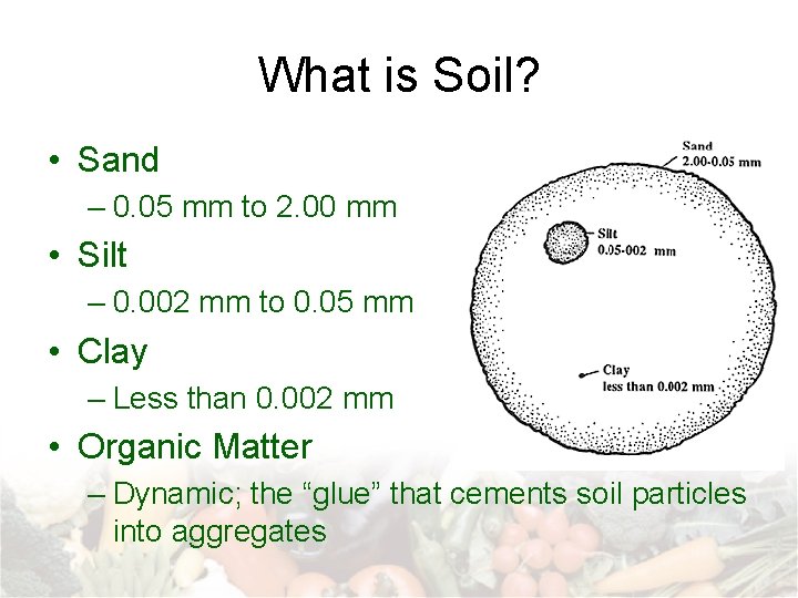 What is Soil? • Sand – 0. 05 mm to 2. 00 mm •