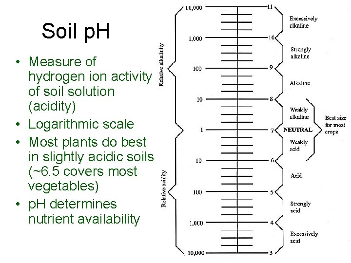 Soil p. H • Measure of hydrogen ion activity of soil solution (acidity) •