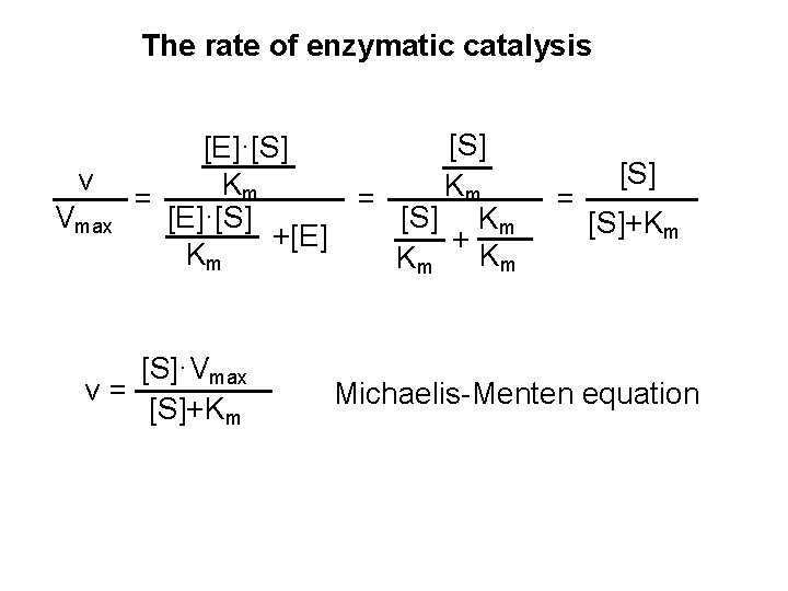 The rate of enzymatic catalysis v Vmax [E]·[S] Km = [E]·[S] +[E] Km [S]·Vmax
