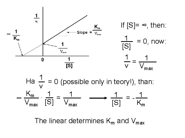 If [S]= ∞, then: 1 = 0, now: [S] 1 1 = v Vmax