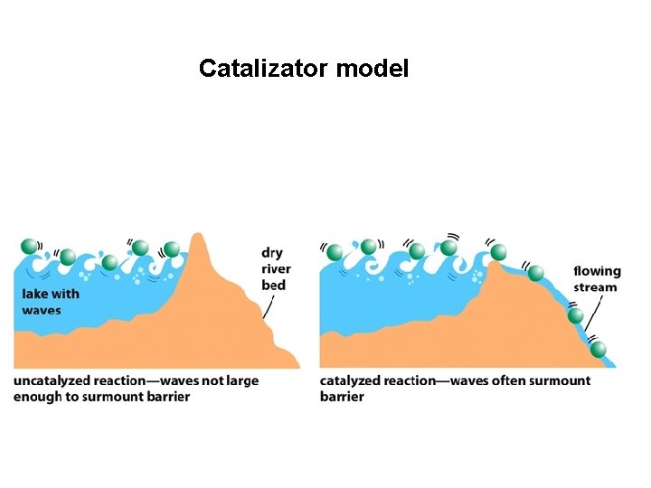 Catalizator model 