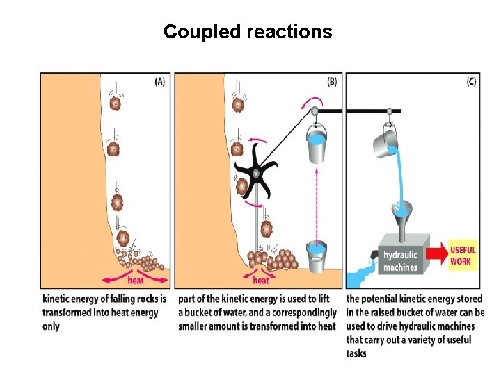 Coupled reactions 