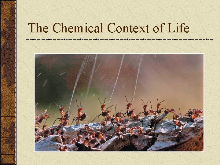 The Chemical Context of Life 