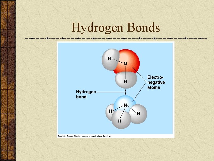 Hydrogen Bonds 