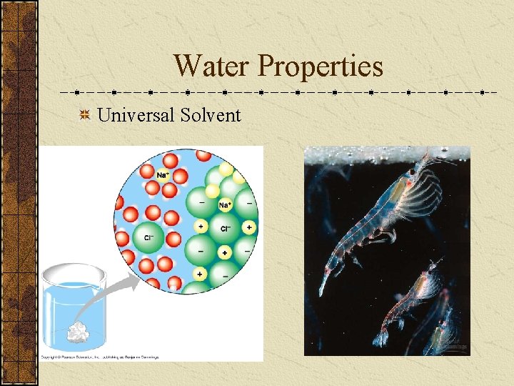 Water Properties Universal Solvent 