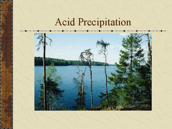 Acid Precipitation 