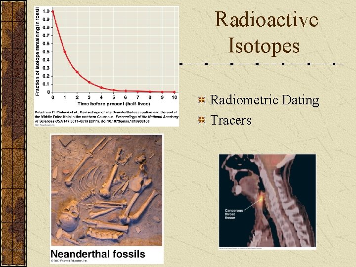 Radioactive Isotopes Radiometric Dating Tracers 