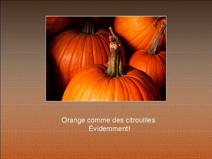 Orange comme des citrouilles. Évidemment! 