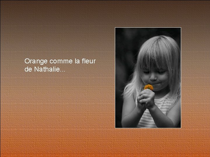 Orange comme la fleur de Nathalie. . . 