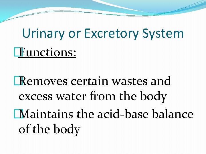 Urinary or Excretory System �Functions: �Removes certain wastes and excess water from the body