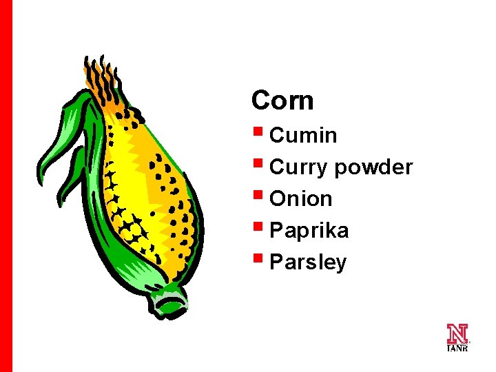 Corn § Cumin § Curry powder § Onion § Paprika § Parsley 24 24