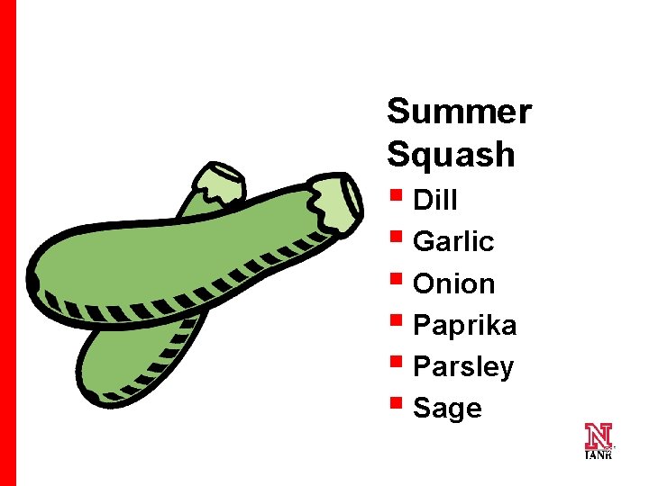 Summer Squash § Dill § Garlic § Onion § Paprika § Parsley § Sage