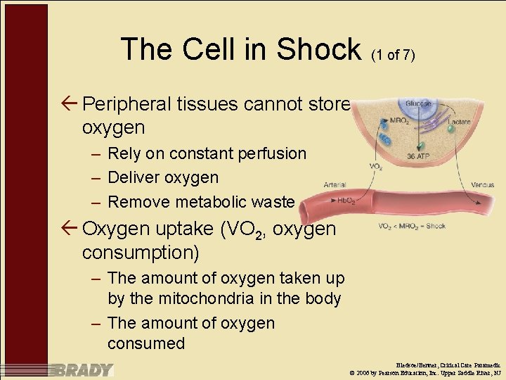 The Cell in Shock (1 of 7) ß Peripheral tissues cannot store oxygen –