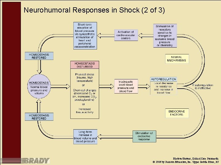 Neurohumoral Responses in Shock (2 of 3) Bledsoe/Benner, Critical Care Paramedic © 2006 by