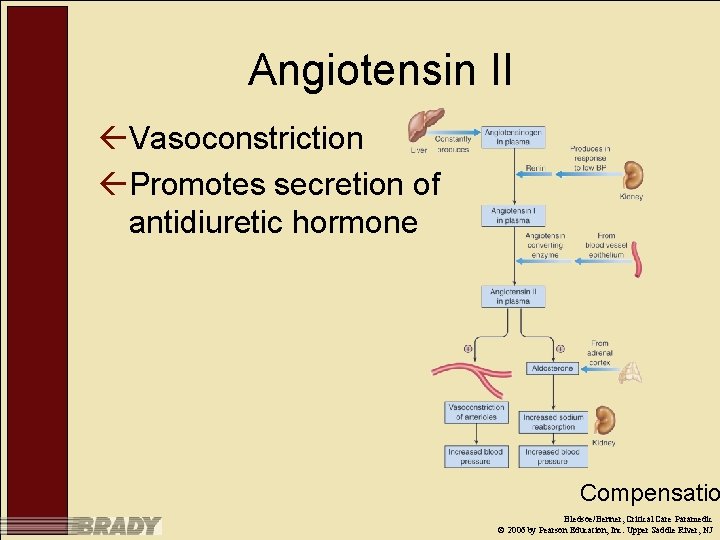 Angiotensin II ßVasoconstriction ßPromotes secretion of antidiuretic hormone Compensatio Bledsoe/Benner, Critical Care Paramedic ©