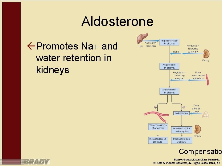 Aldosterone ßPromotes Na and water retention in kidneys Compensatio Bledsoe/Benner, Critical Care Paramedic ©