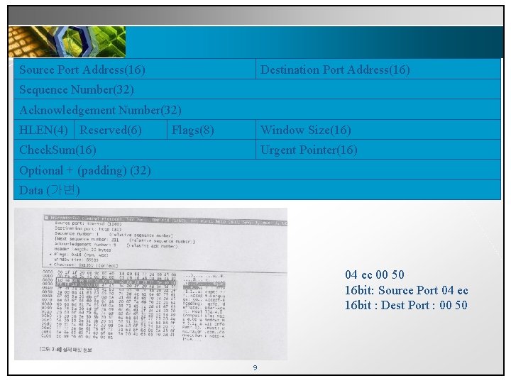 Source Port Address(16) Destination Port Address(16) Sequence Number(32) Acknowledgement Number(32) HLEN(4) Reserved(6) Flags(8) Window